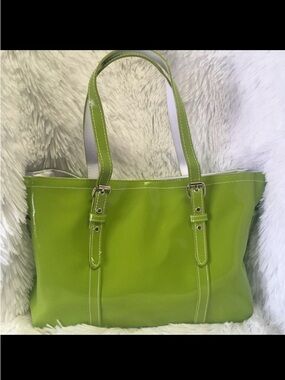 Apple Green Matrix Purse